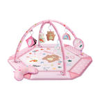 Baby Activity Play Mat with Ball Pit and Detachable Hanging Toys