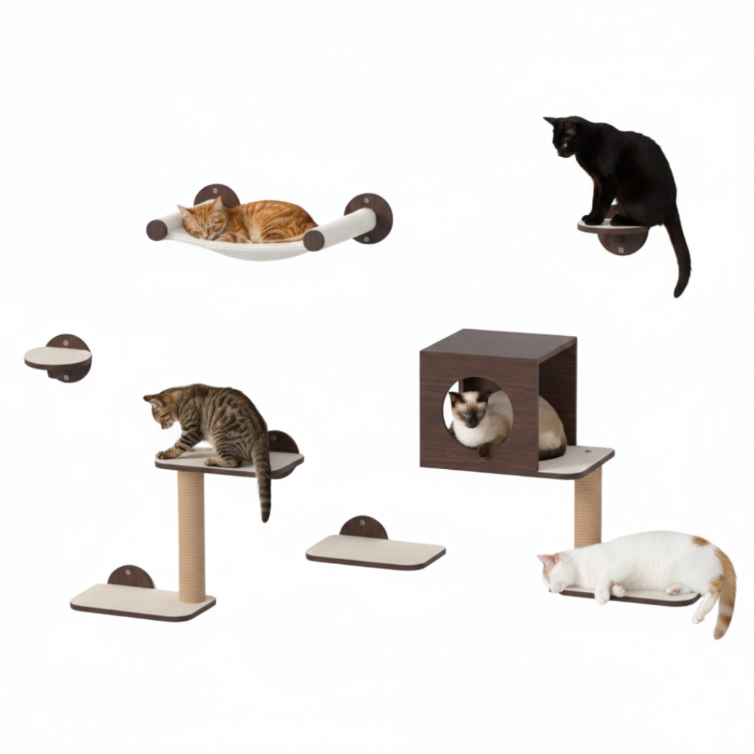Cat Wall Shelves with Hammock, House, Steps, and Scratching Post