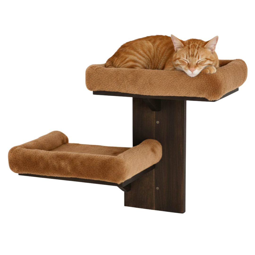 Cat Wall Shelves with Two Platforms for Climbing, Play, and Rest Areas