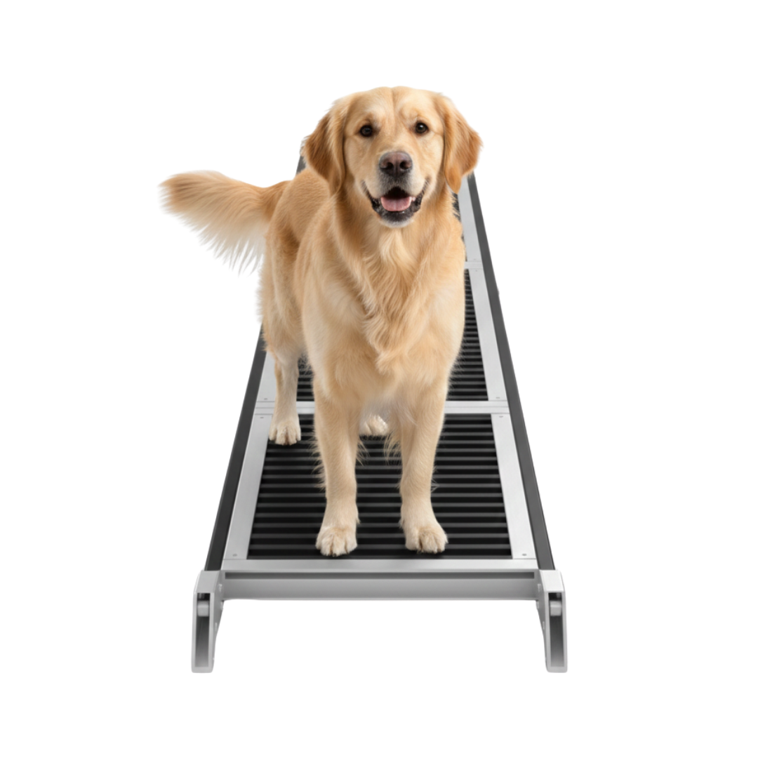 Folding Dog Car Ramp with Anti-Slip Rug Surface for SUVs and Trucks