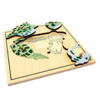 Frog Skeleton Puzzle Model
