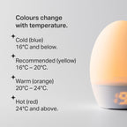 Multifunctional Silicone Night Light with Thermometer & USB Power