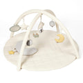 Organic Cotton Cozy Baby Playmat with Mirror, Tummy Pillow and 6 Toys
