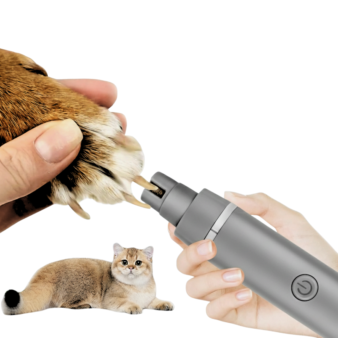 Pet Grooming Clippers Kit With Multihead Attachments, Guide Combs